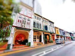 Duxton Road (D2), Shop House #575428171